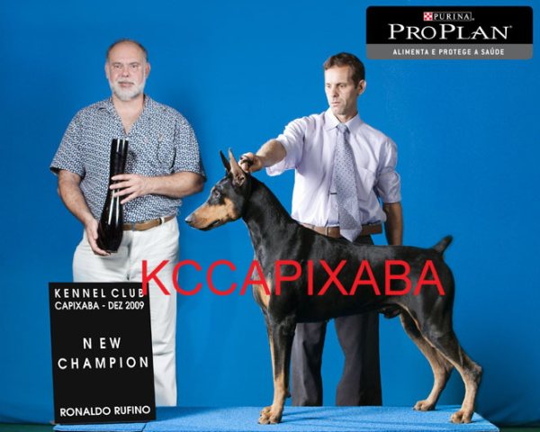 Clique sobre a foto para fechar